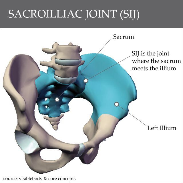 Sacro-Iliac Joint (SIJ)