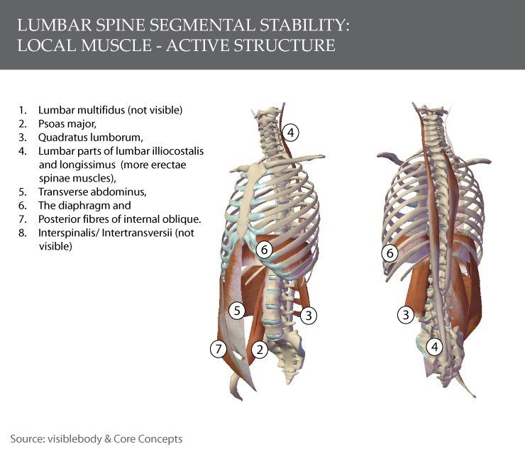 Lower Back Lumbar Segmental Instability
