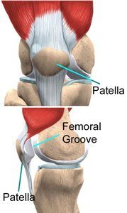 knee